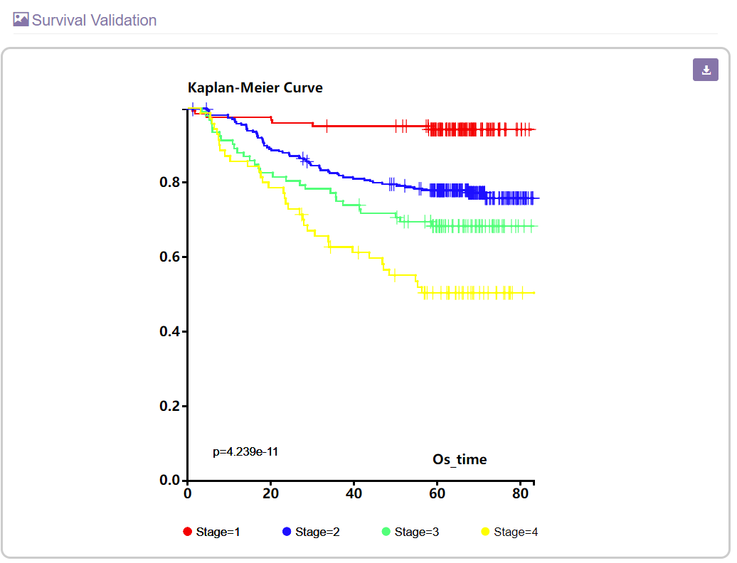 The survival validation section
